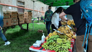 Africké trhy voní v areálu olomouckého letního kina