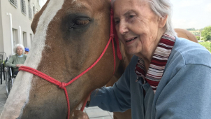 Olomoucké seniory navštívili koně