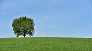 Rtuť teploměru dnes vyšplhá až k jednadvaceti stupňům Celsia