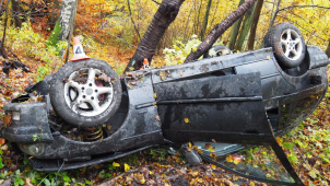 Auto na Šumpersku skončilo na střeše mezi stromy, řidič nadýchal