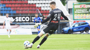 Mandous, Kalas, Zima a Ševčík poletí na EURO!