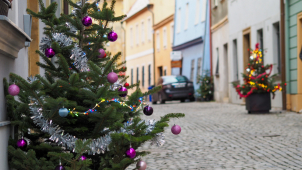 Šemberovu ulici v centru zdobí vánoční stromečky. Takto vypadá