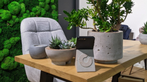 Šantovka Star(t)s představuje inovativní projekt