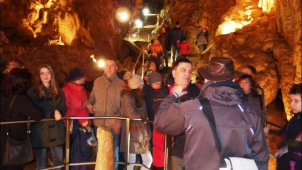 Probouzení netopýrů: buďte při tom, když noční tvorové ožívají