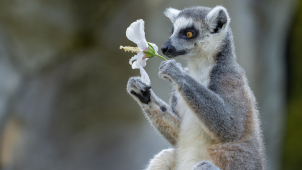 Fotografická výstava mapuje práci ošetřovatelů a chovatelů v zoo