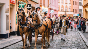 Jak vylepšit Svátky města Olomouce?