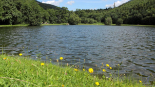 Koupaliště: Výkleky za vstupné, „Karibik Hané“ autem nedostupný