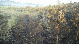 Ve Vojenském prostoru Libavá od včerejší noci hoří