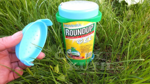 Roundup už ne? Město hledá alternativu v hubení plevele