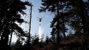 Plameny zasáhly půl hektaru lesa. Pomohl i vrtulník