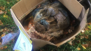 Olomoučané si stěžovali na tlející maso