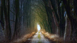 Začátek týdne bude v kraji studený, občas i se sněhem