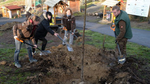 Zaměstnanci olomoucké zoo sázeli stromy, díky pěknému počasí