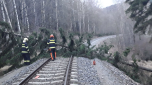 Krajské hasiče zaměstnával během včerejška silný vítr