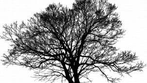 Rtuť na teploměru vyleze přes deset stupňů