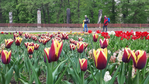 Rozkvetlé Rozárium přivítalo první návštěvníky