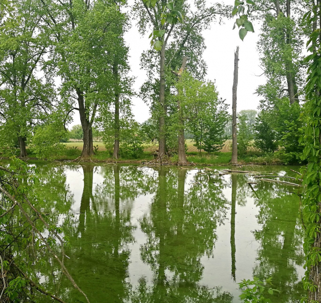 Olomouc připravuje IV. etapu protipovodňových opatření