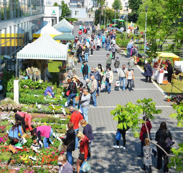 Jak loni hospodařily městské firmy? Podívejte se