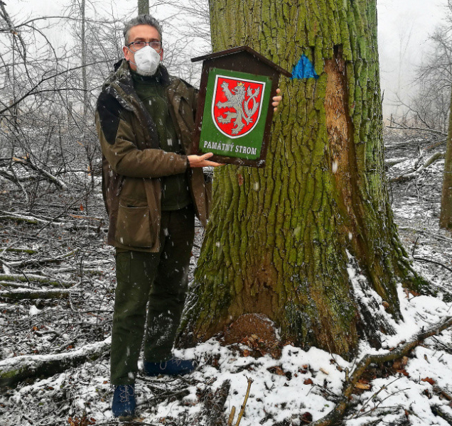 Primátor Žbánek: Památné stromy budeme chránit pro další generace