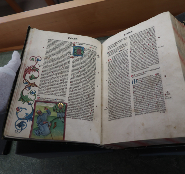 Muzeum umění digitalizuje své sbírky za desítky milionů korun