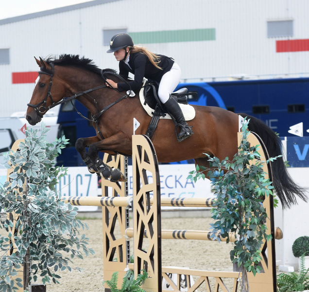 V Olomouci bude plno, představí se téměř čtyř sta koní