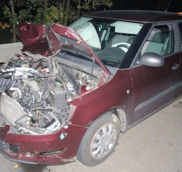 Řidič na Jesenicku srazil laň, ta na místě uhynula