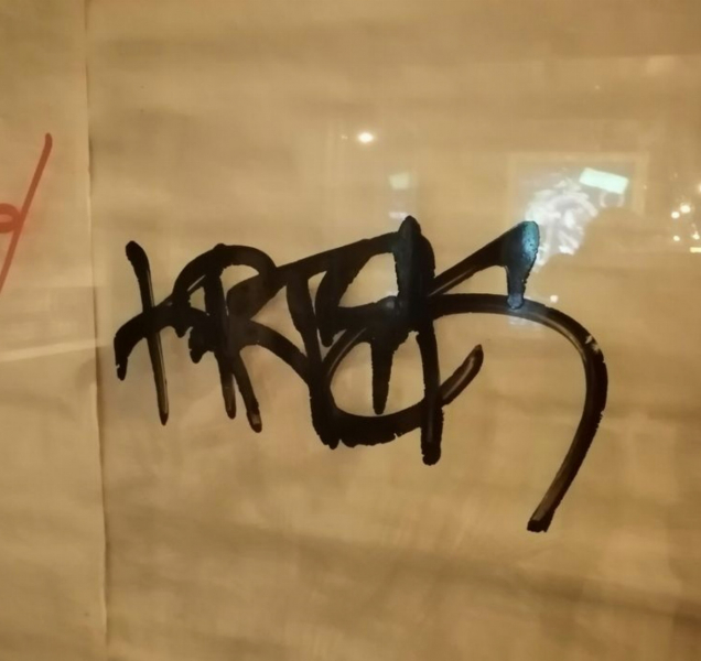 Strážníci umělce přistihli přímo při činu