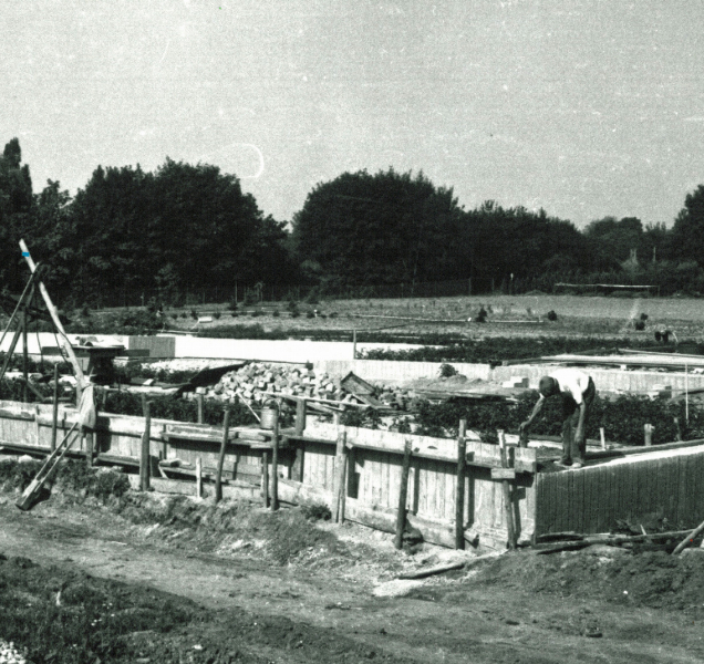 Místo městské skládky tisíce keřů růží