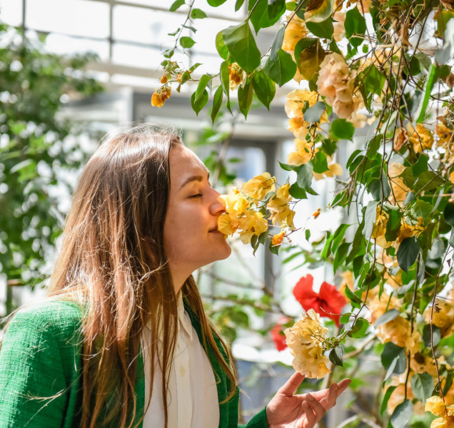 Výstava Flora Olomouc vezme návštěvníky do Galaxie květin