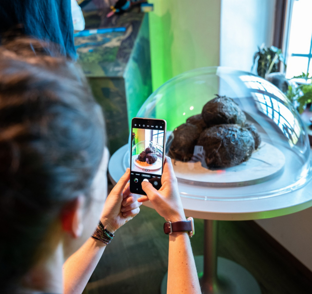 Pevnost poznání nabízí novou expozici o záchraně slonů