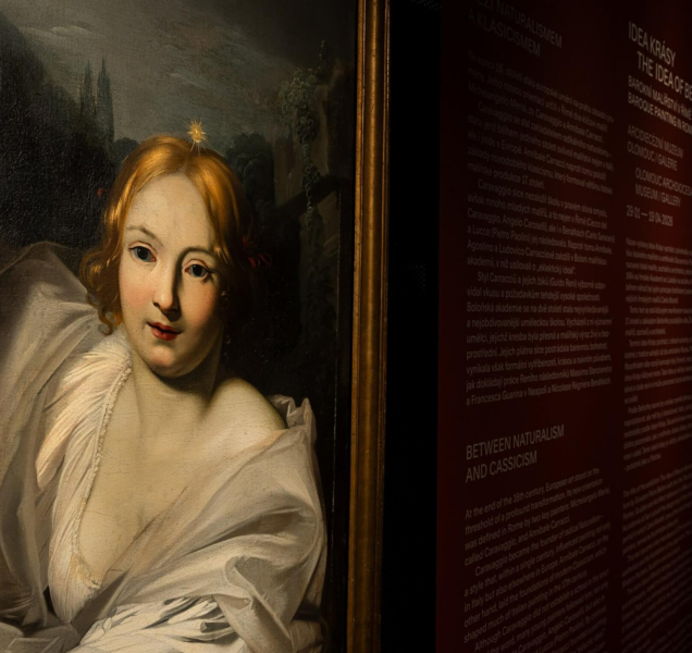 V Olomouci se představí římské barokní malířství