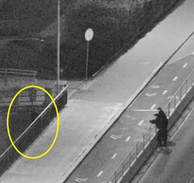 Před půlnocí skočila do řeky, strážníci ji zachránili