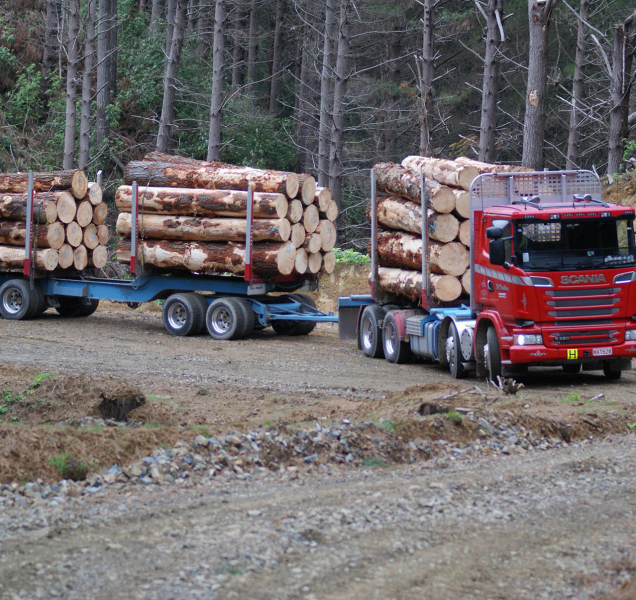 Kocourkov v Prostějově: Auta se dřevem musí přes město