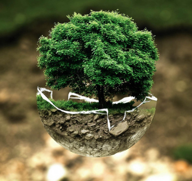 Nominace pro město, Janu Matzenauerovou a Sluňákov