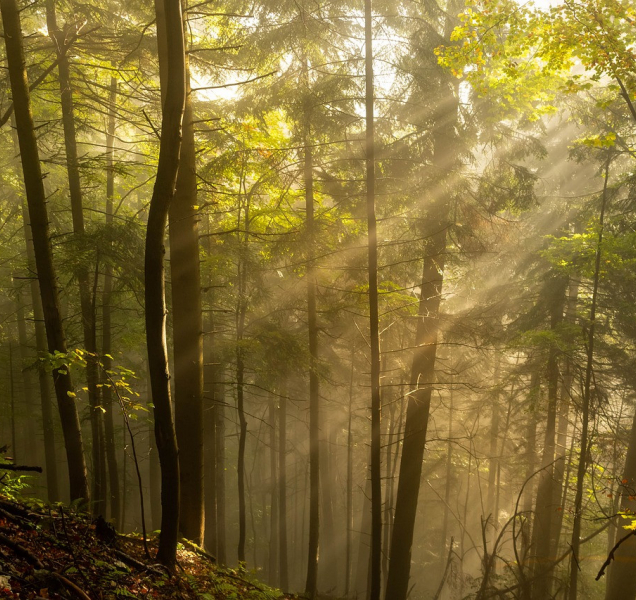 Oproti sobotě pár stupňů přibude, ale na triko už to nebude