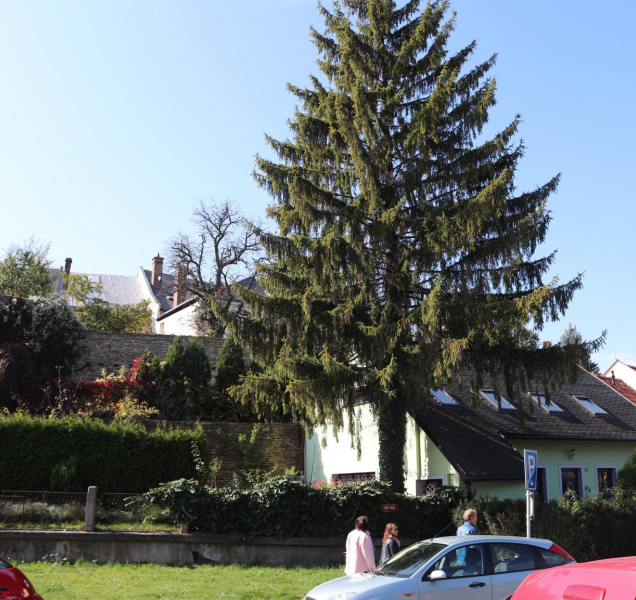 Přerov chce během Vánoc nabídnout více místa domácím produktům