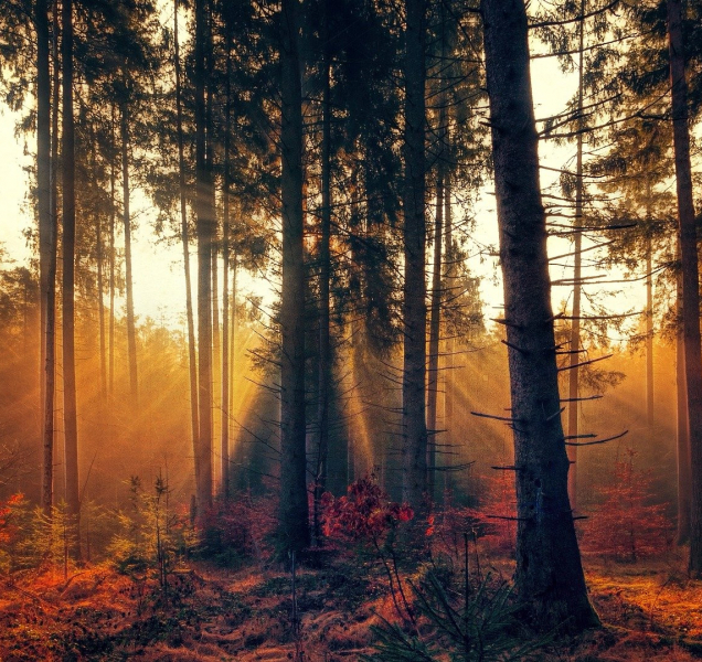 Začátek pracovního týdne bude v kraji studený