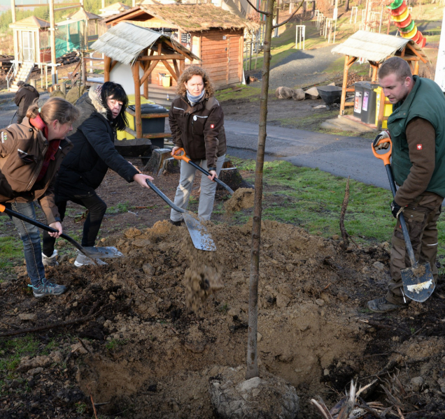 Zaměstnanci olomoucké zoo sázeli stromy, díky pěknému počasí