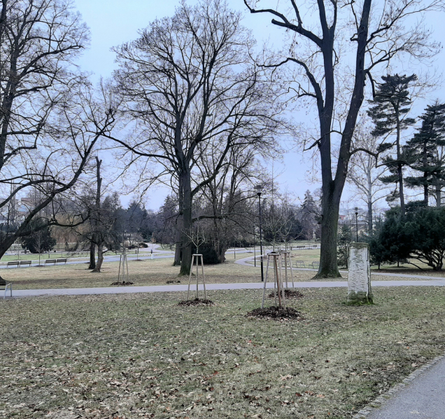 Začátek týdne v kraji bude teplejší, než týden minulý