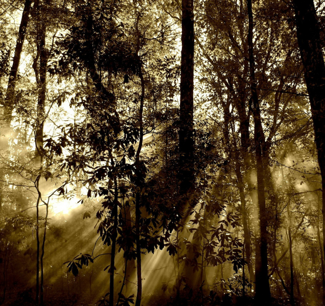 Sobotní teploty v kraji budou stále spíše nad nulou