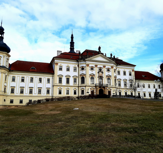 Vojenská nemocnice chce nabídnout svá lůžka infikovaným