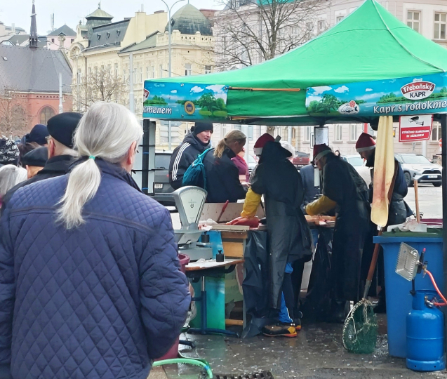 Máte doma kapra? Určitě ho nepouštějte do přírody