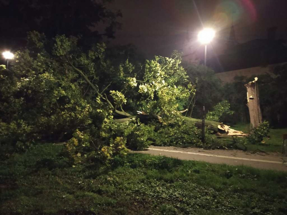 Spadlý strom komplikoval cyklistům cestu přes Smetanovy sady