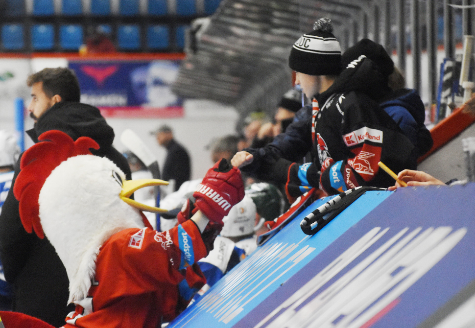 Program sportovních akcí na Olomoucku