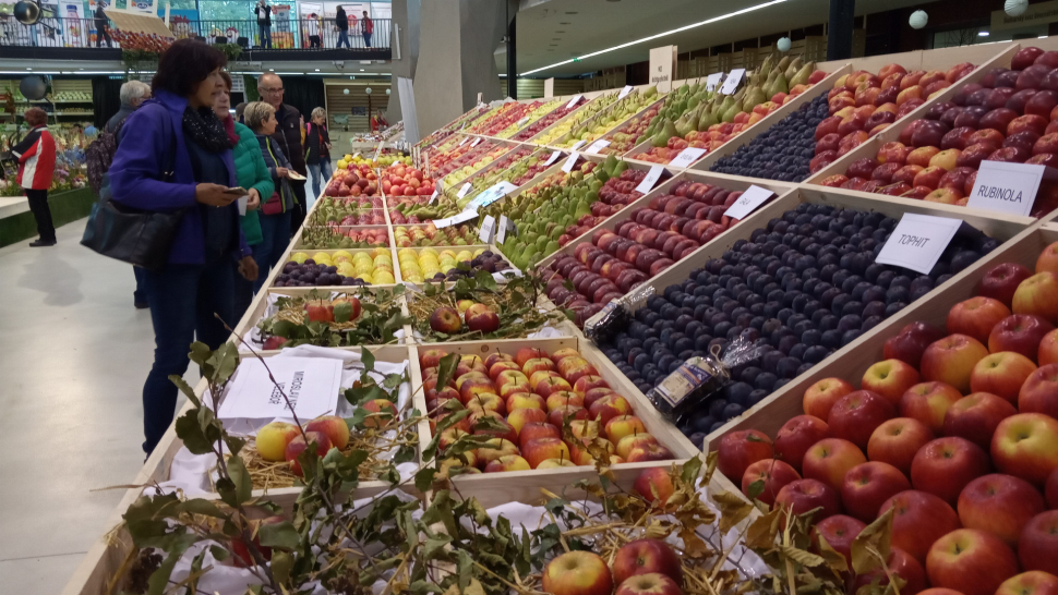 FOTO: Podzimní Flora nabízí jablka a Havlovu Zahradní slavnost